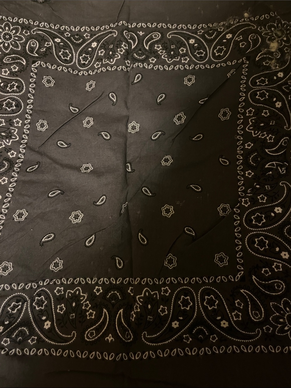 Bandana Values - Picture 2 of 4